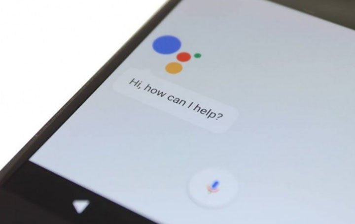 google bard